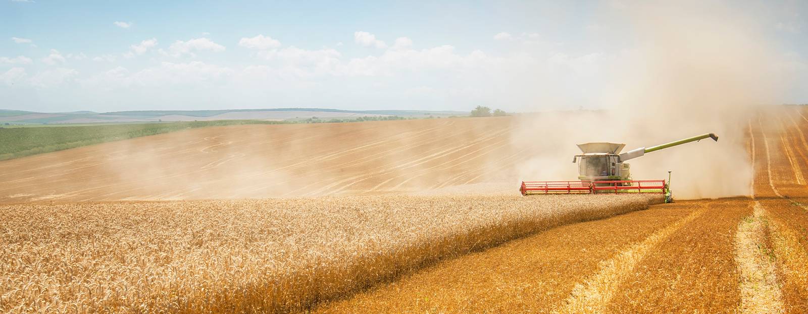 Banner for A Discussion on Global Food Concerns