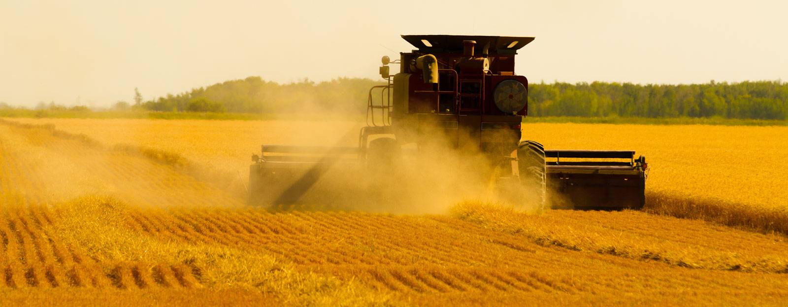 Banner for Overview of the Canada Grains Council Roundtable