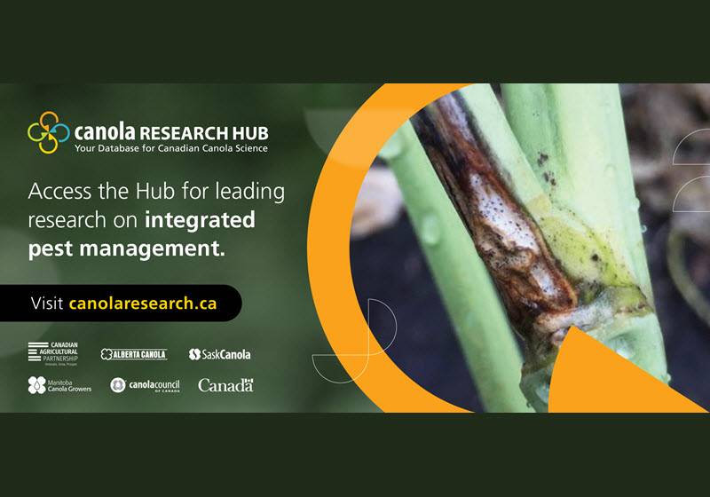 Research Hub providing agronomy insights