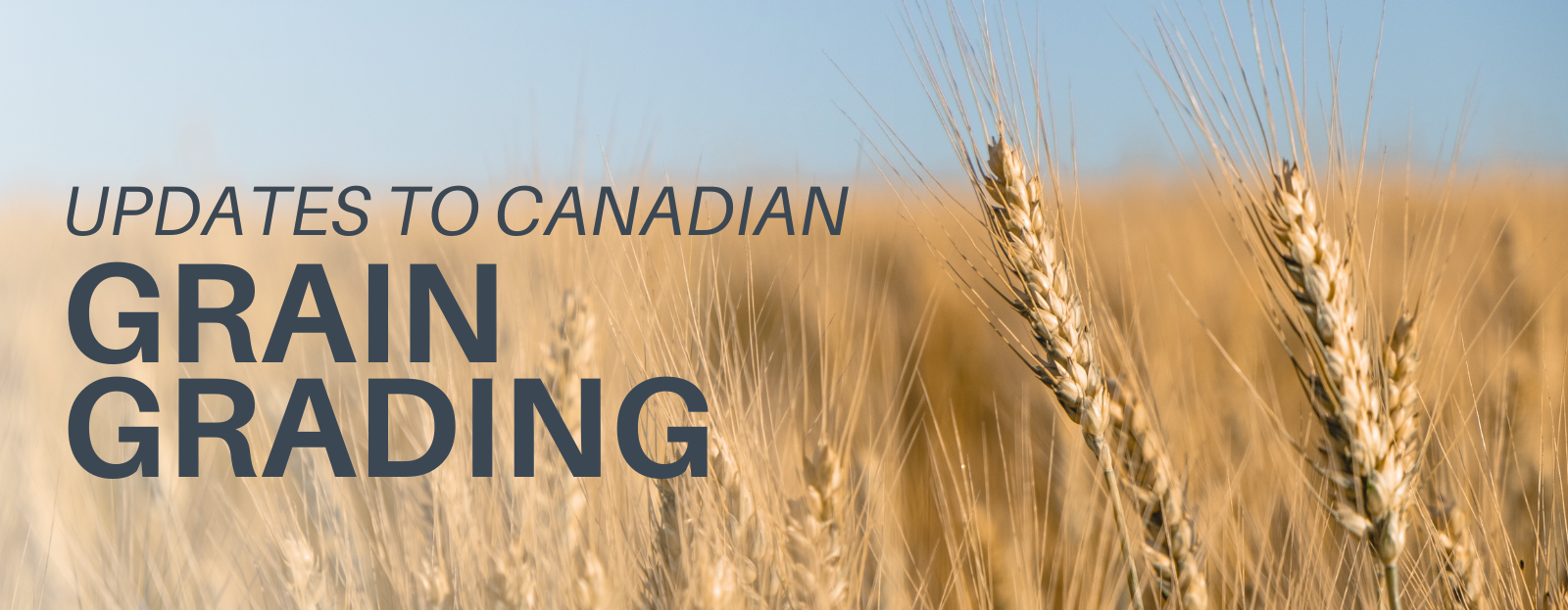 Grain grading changes coming for the 2023-2024 crop year