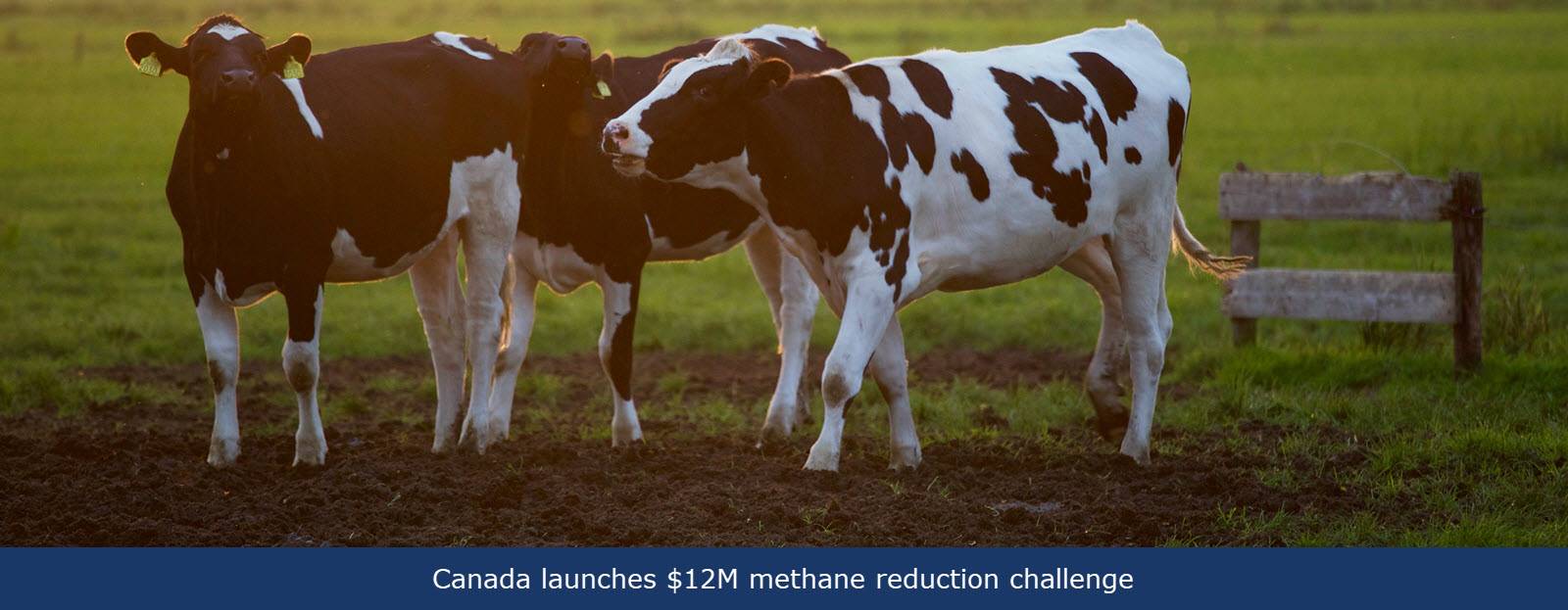 Canada launches $12M methane reduction challenge Canada launches $12M methane reduction challenge