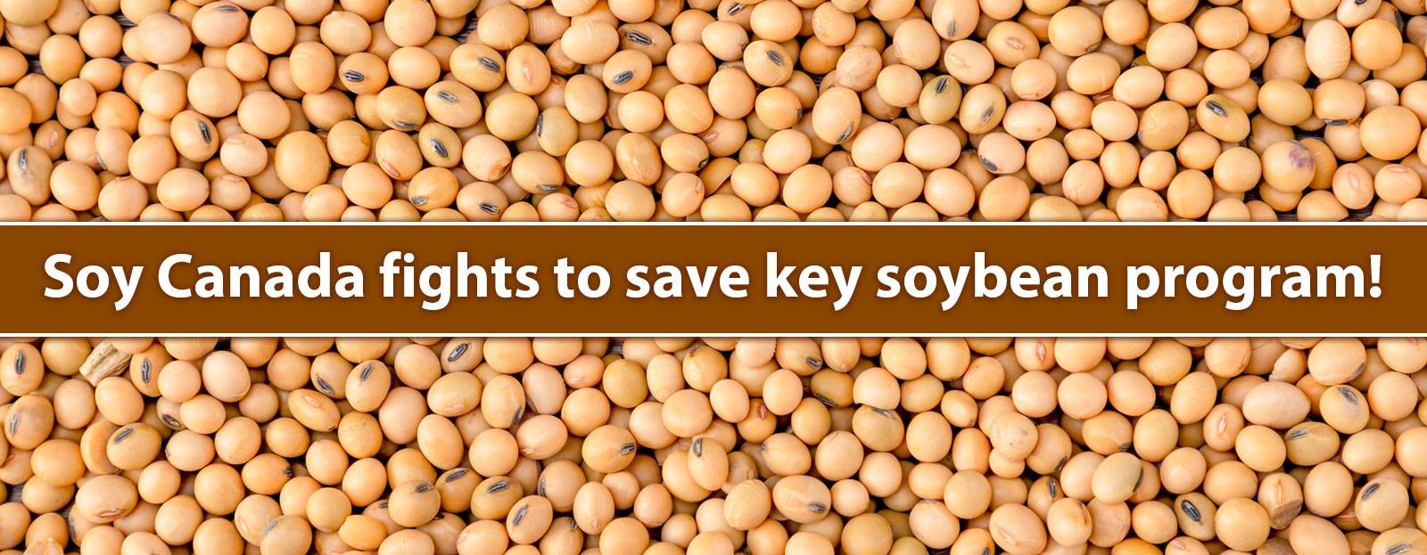 Soy Canada fights to save key soybean program