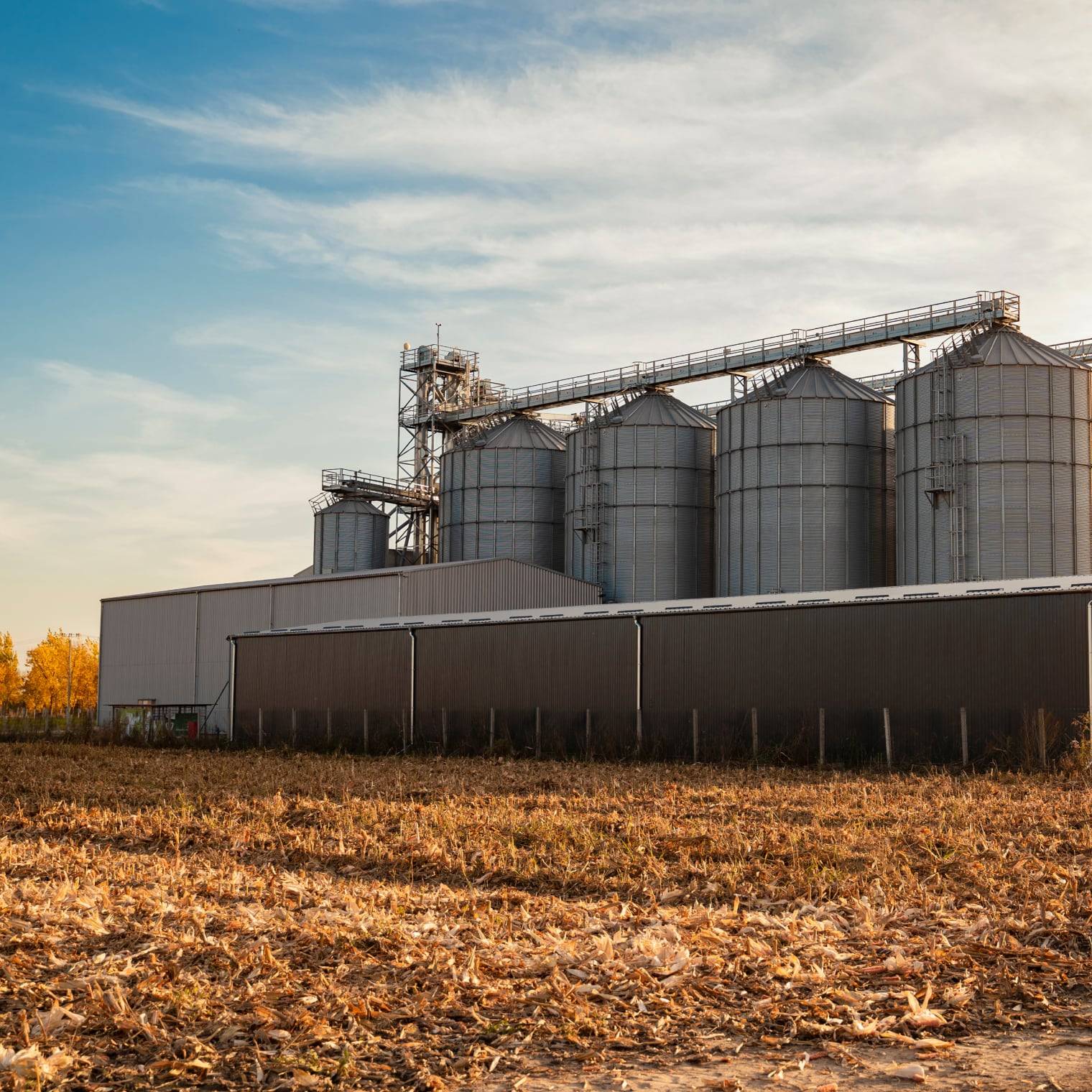 grain bins and storage shed