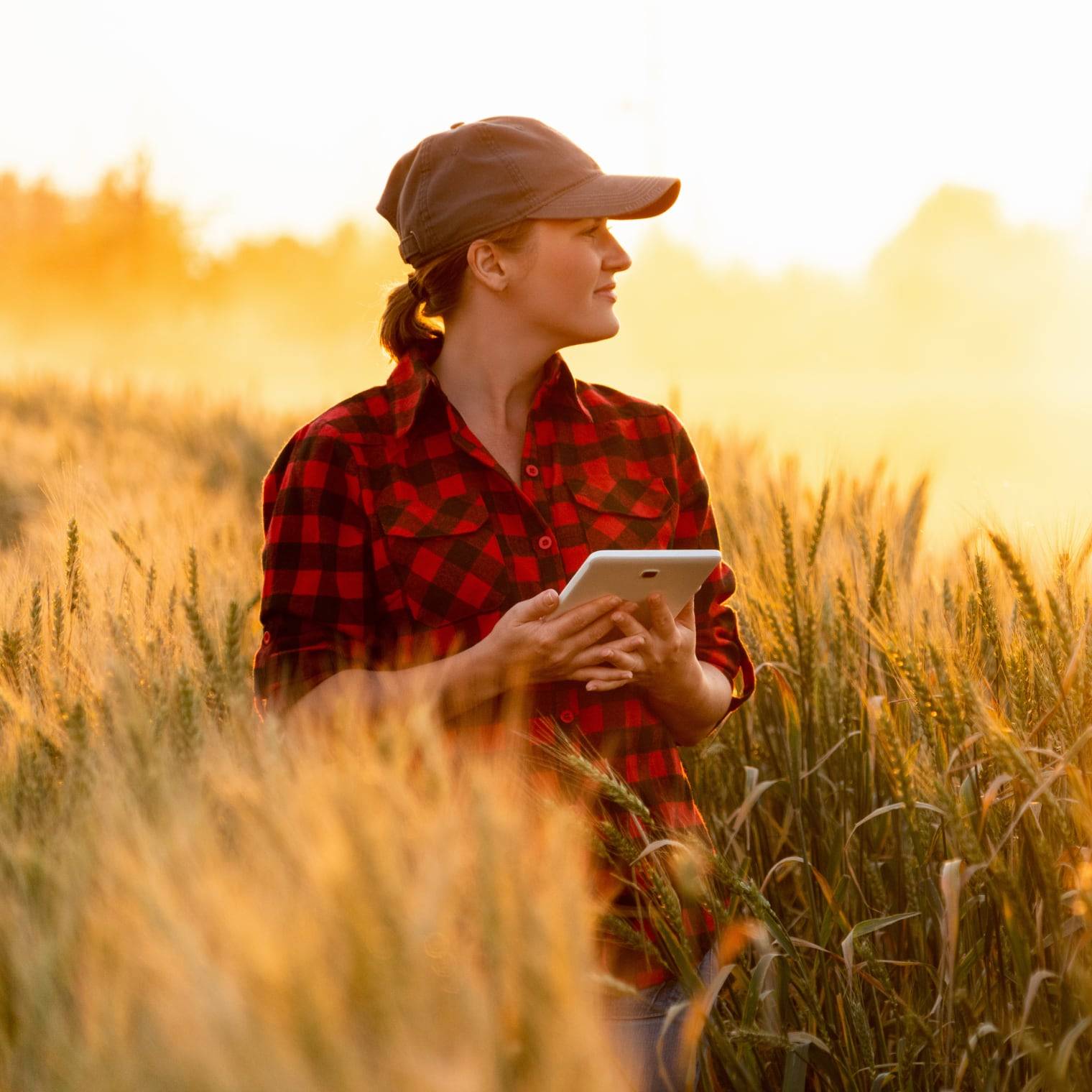 canadian agri network