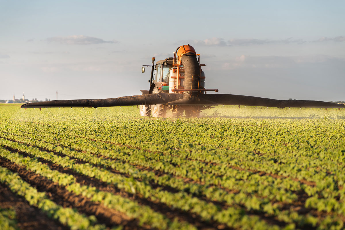 Tractor spraying pesticides on soy field with sprayer in spring