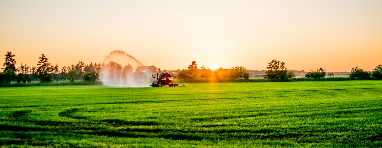 Water pump at sunset in a big green field