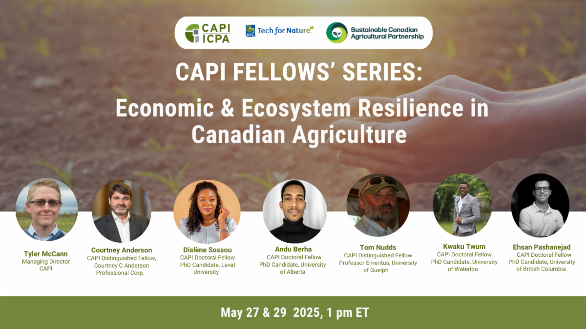 CAPI Fellow Series Webinar Graphic