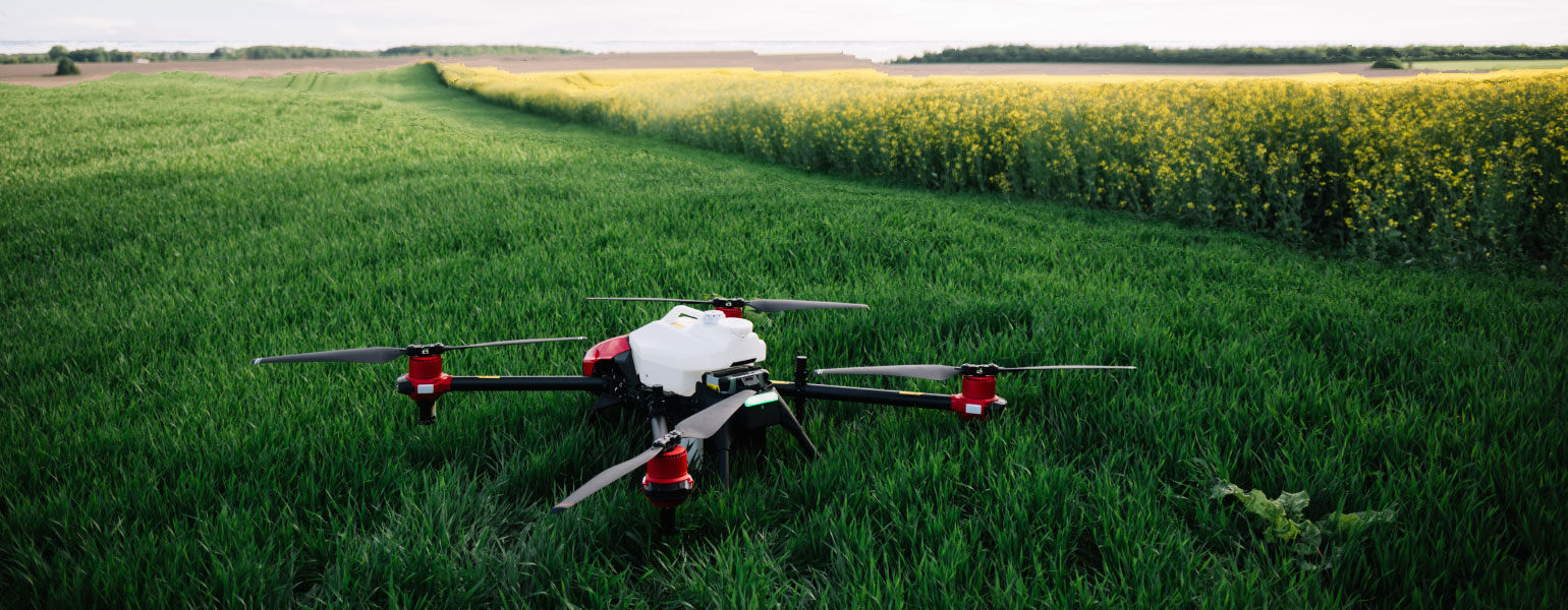 A drone sits poised in the vibrant green fields