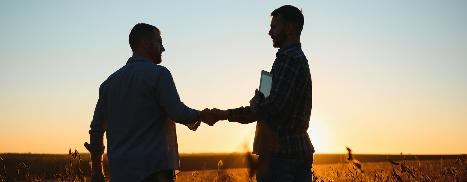Portrait of two farmers in a field examining soy crop