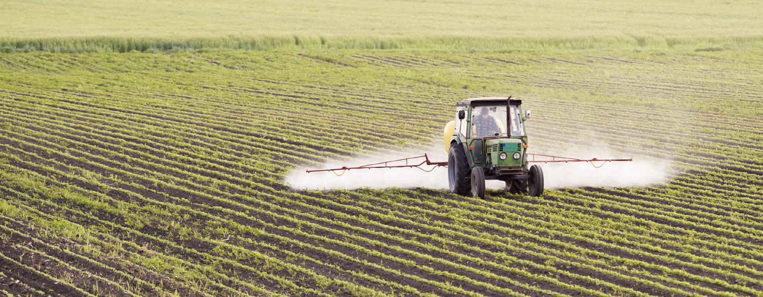 Tractor spraying soybean field at spring